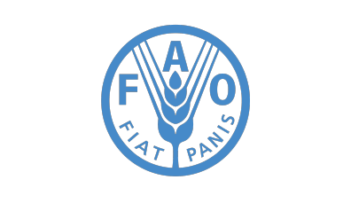 FAO_Plan de travail 1